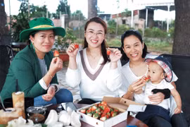 Cựu cán bộ Đoàn đam mê phát triển du lịch trải nghiệm