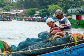 Hồn biển còn neo giữa phố?