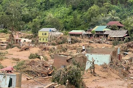 Mưa lũ gây thiệt hại nặng tại Nghệ An, 8 người thương vong và mất tích, 3.237 nhà bị ngập