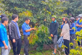 “Bệ phóng” cho khát vọng khởi nghiệp của thanh niên