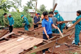 Thủ tướng chỉ đạo khẩn trương khắc phục hậu quả bão số 13, nhanh chóng ổn định đời sống Nhân dân sau thiên tai