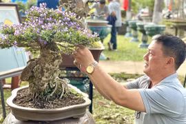 Hội tụ hồn đất, tình cây mừng Ngày Quốc khánh