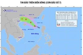 Từ Quảng Ninh đến Đắk Lắk chủ động ứng phó với bão số 7