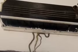 Kinh hãi phát hiện 7 con rắn 'làm ổ' trong máy điều hòa