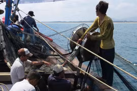 Lên rừng, xuống biển mưu sinh - Kỳ 1: Ngọt bùi và đớn đau từ biển cả