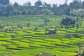 Độc đáo ruộng bậc thang ở xã Dun