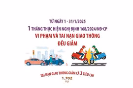 Vi phạm và tai nạn giao thông giảm sau một tháng thực hiện Nghị định 168