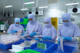 Cơ hội mới cho nghề nuôi cá điêu hồng