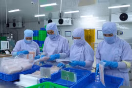 Cơ hội mới cho nghề nuôi cá điêu hồng