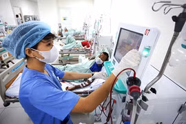 Gần 13% dân số Việt Nam mắc bệnh thận mạn