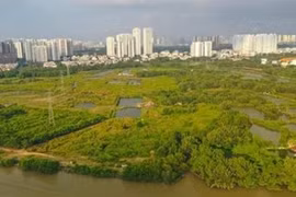 Cổ phiếu nhà Quốc Cường Gia Lai lại nổi sóng