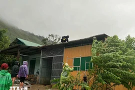 Kon Tum ghi nhận nhiều thiệt hại do bão số 1, khả năng vẫn tiếp tục đón mưa lớn