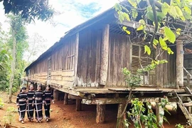 Cứu lấy di sản nhà dài Ê Đê