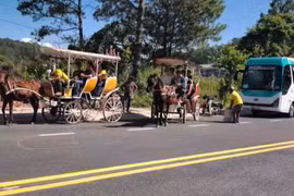 Xe ngựa chở du khách không được hoạt động trong KDL hồ Tuyền Lâm