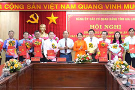 Xây dựng Đảng bộ vững mạnh trong bối cảnh mới, vị thế mới