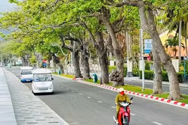 Về nơi lửa thử vàng...