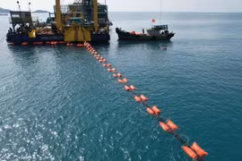 Côn Đảo Chính thức có điện lưới quốc gia, thúc đẩy phát triển kinh tế