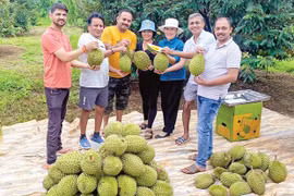 Trái cây “Made in Gia Lai” khẳng định vị thế