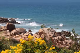 Viên ngọc sinh thái biển Lâm Đồng: 'Cô gái đẹp ngủ quên' chưa được đánh thức