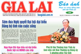 Báo Ảnh Gia Lai ngày 7-11-2025