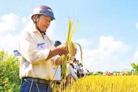 Hợp tác xã nông nghiệp Phước Hưng: Điển hình phát triển kinh tế tập thể