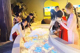 Thăm 'thế giới khủng long' của Hàn Quốc