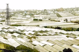 Chỉ số xanh cải thiện bức tranh 'xám'