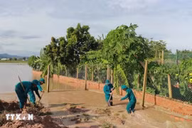 Khắc phục bão số 13: Cả miền Trung-Tây Nguyên dồn sức