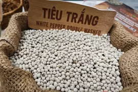 Giá tiêu hôm nay 19-4: Đi lùi, thị phần tại Mỹ giảm