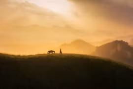 Ngắm loạt cảnh đẹp Việt Nam trong giải thưởng nhiếp ảnh quốc tế