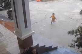 Nhanh trí cứu được bạn rơi xuống hố, bé trai 3 tuổi nhận 'mưa like'