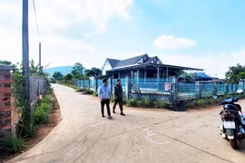 Tập trung củng cố các tiêu chí nông thôn mới