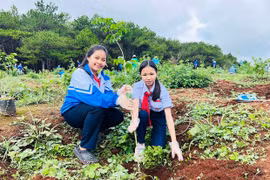 Lan tỏa tuổi trẻ sống đẹp trên mạng xã hội