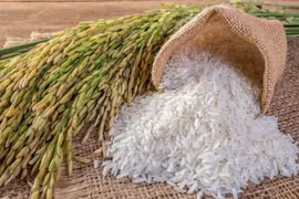 Thủ tướng chỉ đạo nghiên cứu thông tin về giải pháp để gạo Việt giữ vị trí xuất khẩu thứ hai thế giới