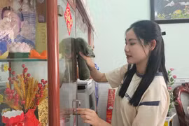 'Hot girl' Trà Vinh xin nghỉ việc, tình nguyện nhập ngũ