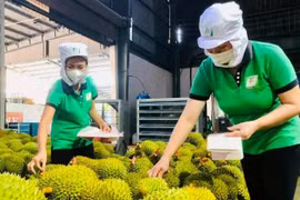 Xuất khẩu rau quả 2 tháng đầu năm đạt gần 17.269 tỷ đồng