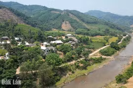 Những người mang họ Bác Hồ