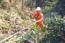 Nguyễn Văn Thiên: Gương sáng ngành Điện lực
