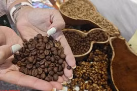 Giá cà phê tăng dựng đứng, lô hàng sang Mỹ tiếp tục