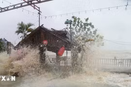 Bão số 5 giảm cấp, từ Thanh Hóa đến Hà Tĩnh có nơi mưa trên 400mm