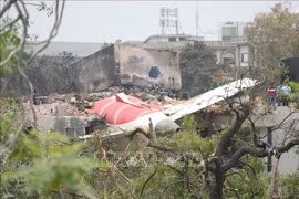 251 người thiệt mạng trong vụ rơi máy bay ở Ấn Độ được nhận dạng