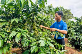 Quan tâm, chăm lo thanh niên dân tộc thiểu số