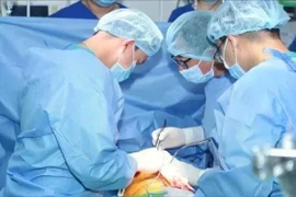 Ghép thành công cho 7 người từ tạng của 1 người chết não