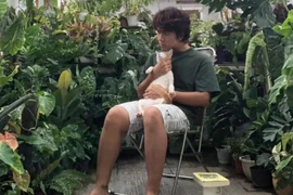 Những vườn kiểng lá xanh mướt trên sân thượng giữa lòng thành phố