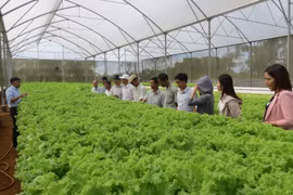 Không chỉ xanh là đủ