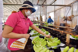 Giải pháp nâng tầm sản phẩm nông nghiệp