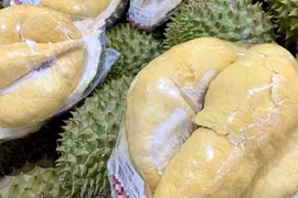 Mở ngay hội nghị gỡ khó xuất khẩu sầu riêng