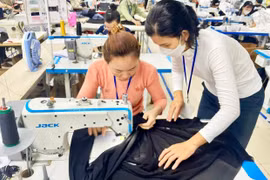 Đầu tư cho tay nghề, đầu tư cho phát triển