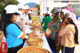 Xây dựng môi trường xanh: Hoàn thiện chính sách, quyết liệt hành động