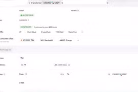 Bắt kẻ lừa đảo mạo danh KOL, admin hội nhóm tiền ảo